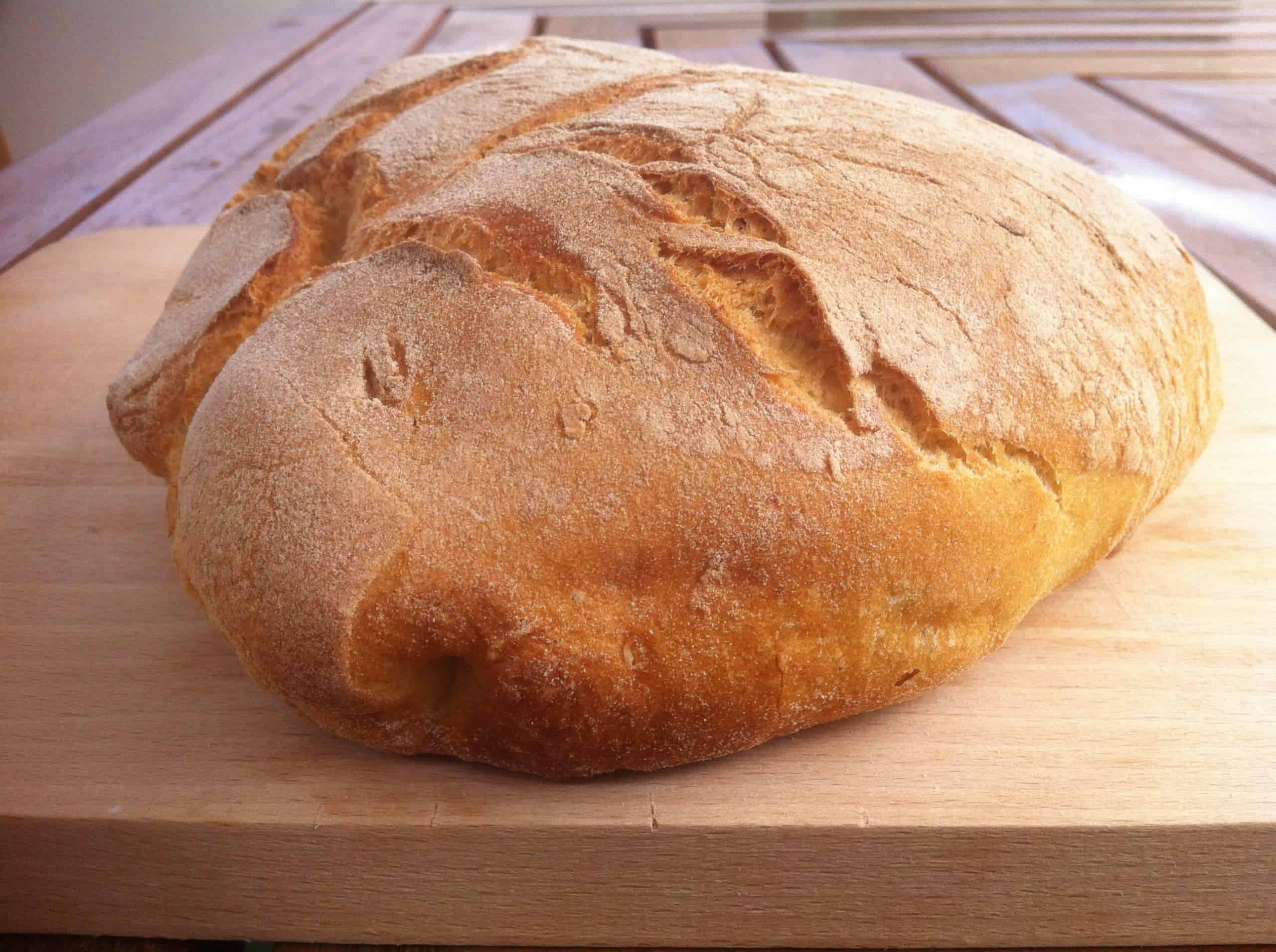Self raising flour bread