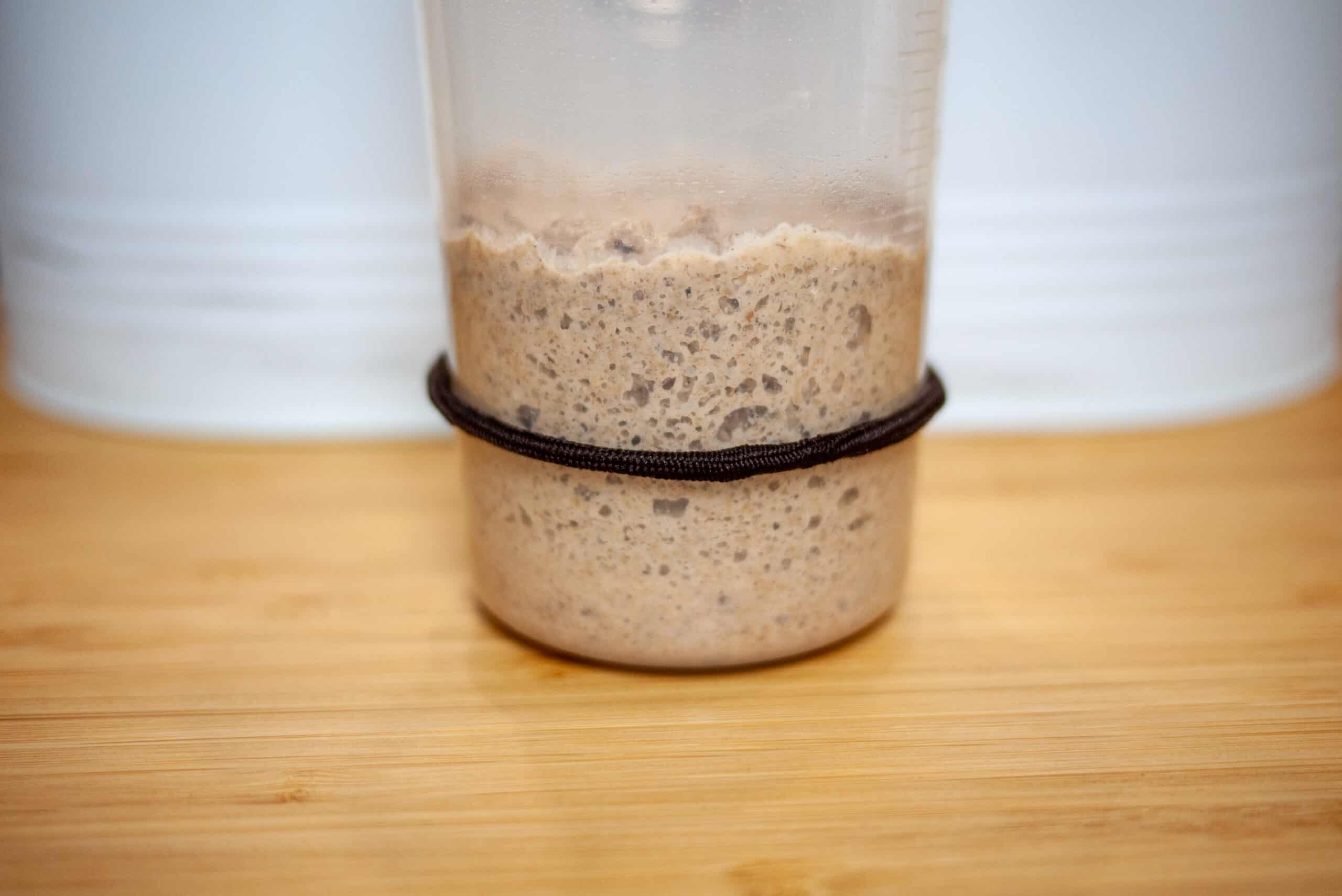 Sourdough starter