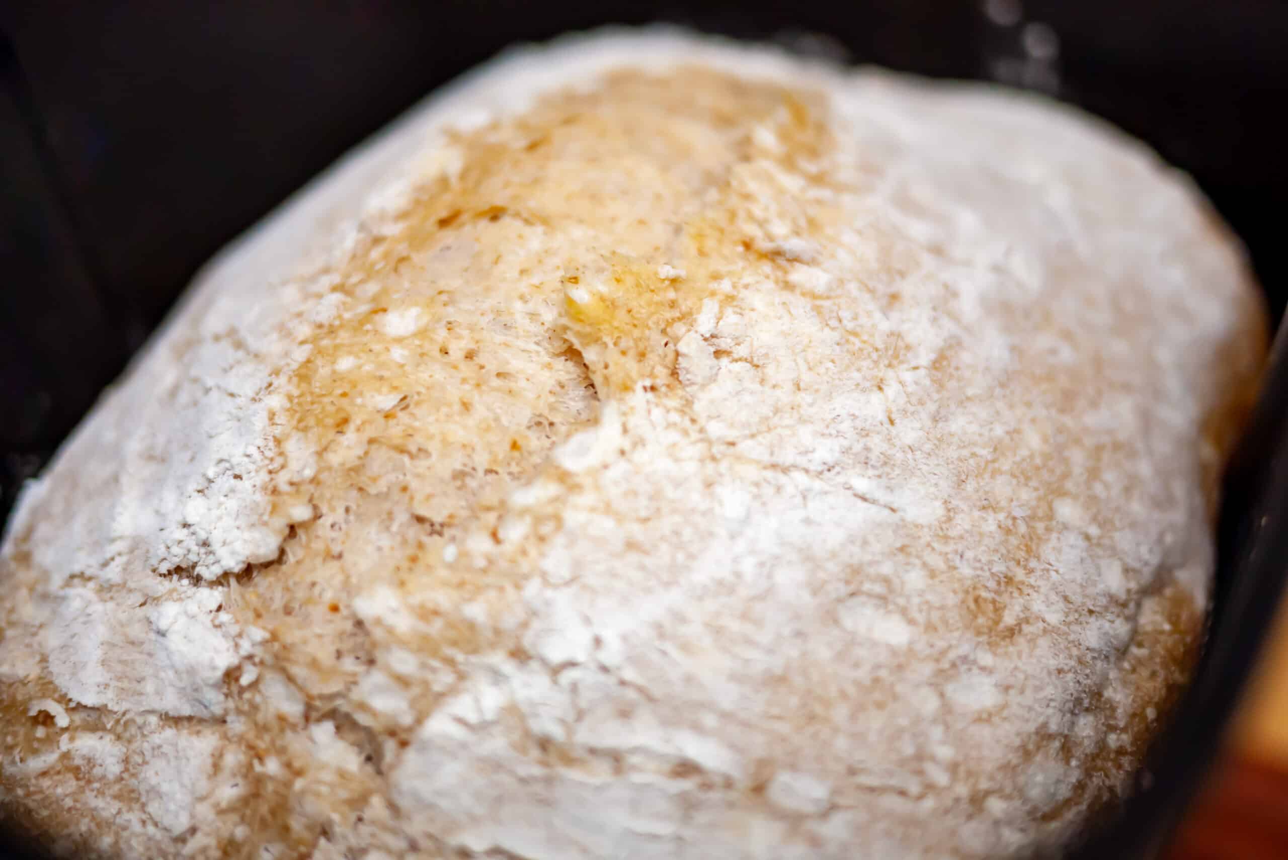 bread machine sourdough bread baked