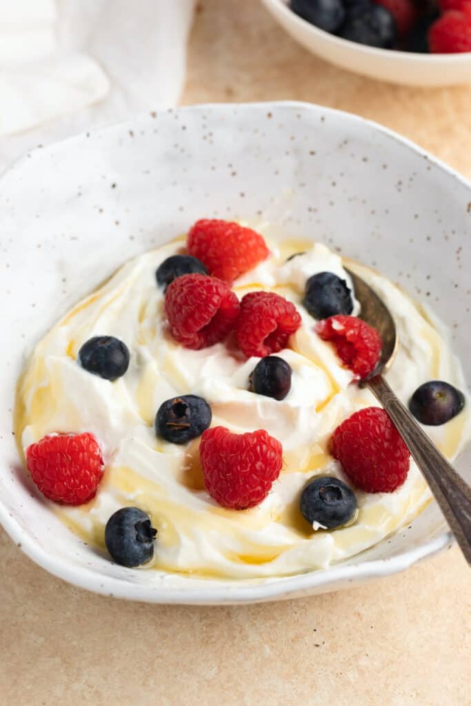 How to make Greek Yogurt (Homemade Greek Yogurt recipe) My Greek Dish