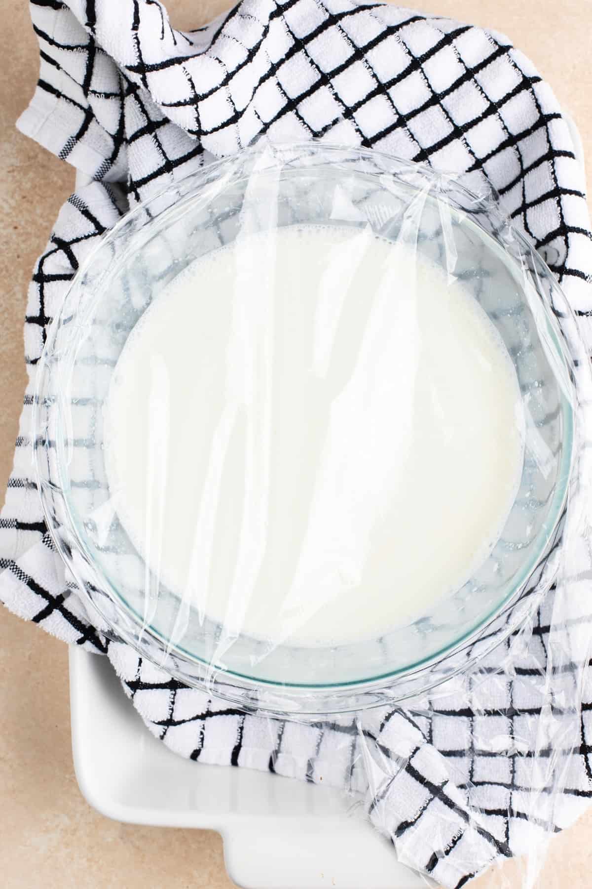 Greek Yogurt recipe
